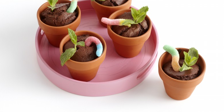 Chocolade bloempotcakejes