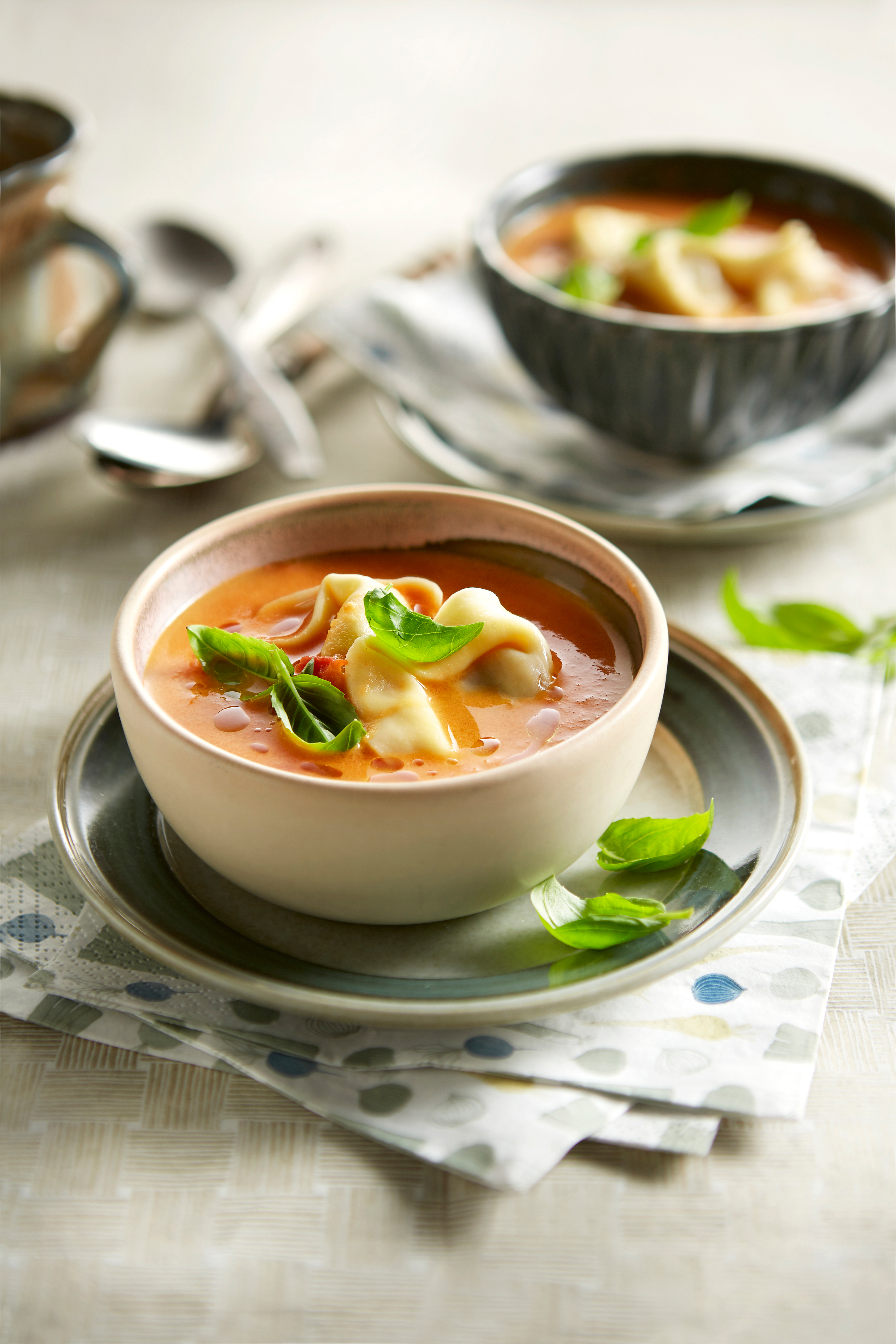 Italiaanse maaltijdsoep met tortellini